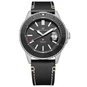 Ocean Series Pro 300m Sandblasted Dial 3D Titanium Ceramic Bezel Diving Watch 43.5mm