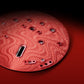 DE ENAMEL SNAKE RED (Limited Edition)