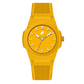 Calypso Jaune