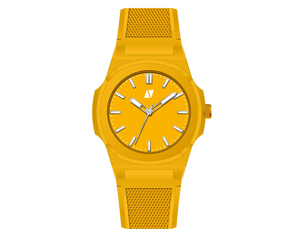 Calypso Geel