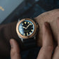 ROMP TITANIUM BRONZEN AUTOMATISCHE LAPIDARISCHE LIMITED EDITION